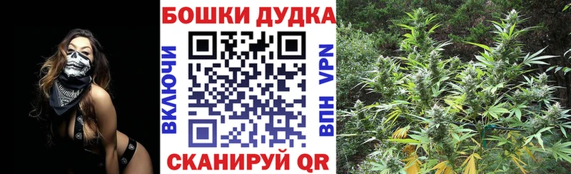 Шишки марихуана SATIVA & INDICA  где продают наркотики  Ленинск 